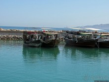 Дибба — ворота в регион оманских фьердов