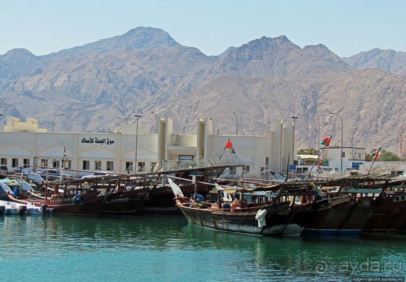 Дибба — ворота в регион оманских фьердов
