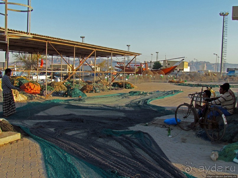 Дибба — ворота в регион оманских фьердов