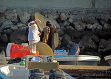 Дибба — ворота в регион оманских фьердов