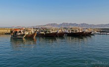 Дибба — ворота в регион оманских фьердов