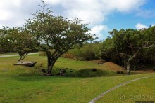 Suicide Cliff — второе место трагедии Сайпана в WW2