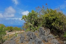 Suicide Cliff — второе место трагедии Сайпана в WW2