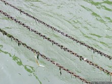 Дальше вверх по Рейну. Весселинг — первый город после Кельна