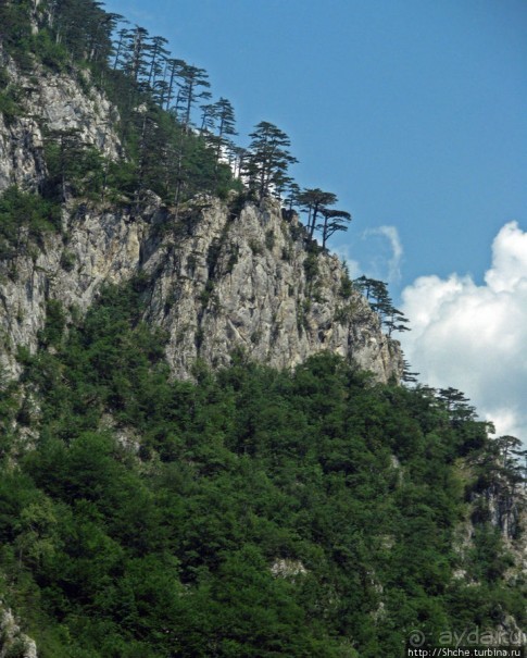 Черногорские картинки. Каньон искусственного Пивского озера