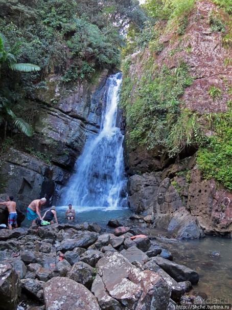 Тропа Больших деревьев (Big Tree Trail)