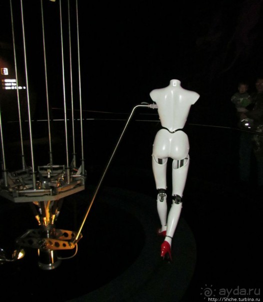 Альбом отзыва ""Кристальные миры Сваровски": подробности первых залов"