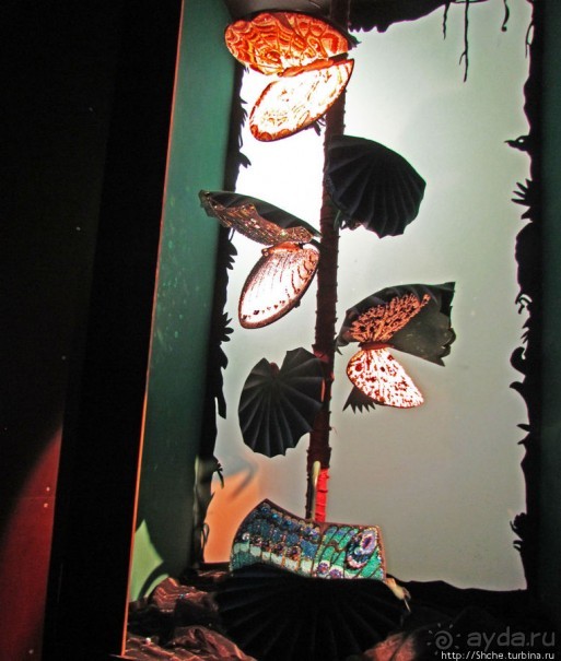 Альбом отзыва ""Кристальные миры Сваровски": подробности первых залов"