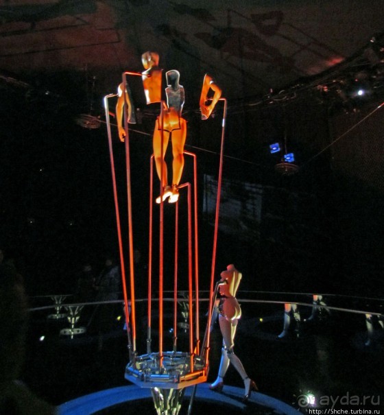 Альбом отзыва ""Кристальные миры Сваровски": подробности первых залов"