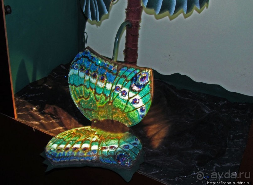 Альбом отзыва ""Кристальные миры Сваровски": подробности первых залов"