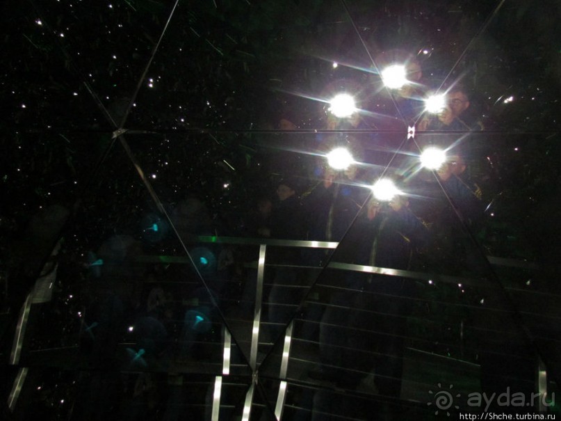 Альбом отзыва ""Кристальные миры Сваровски": подробности первых залов"