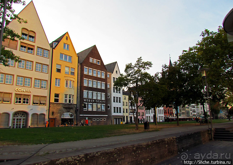 На берегу Рейна