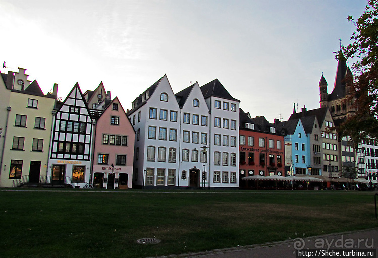 На берегу Рейна