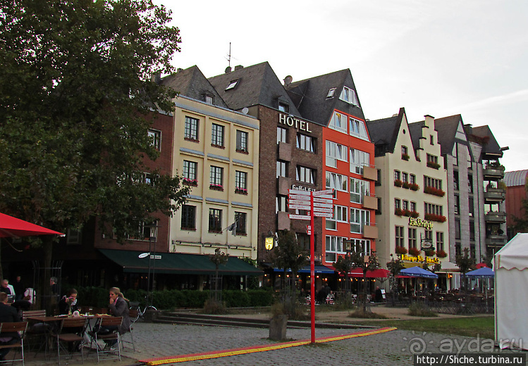 На берегу Рейна