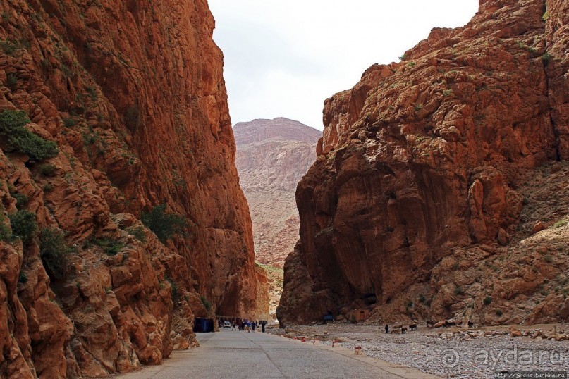 Живописное Марокко. Ущелье Тодра
