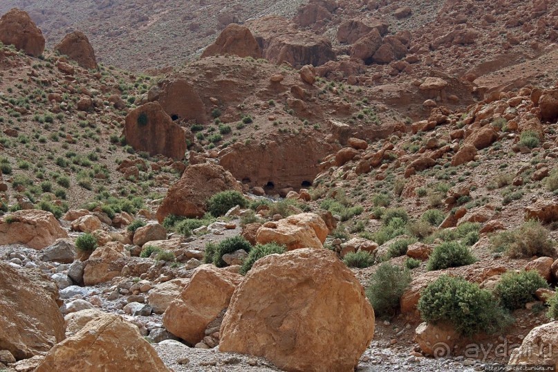 Живописное Марокко. Ущелье Тодра