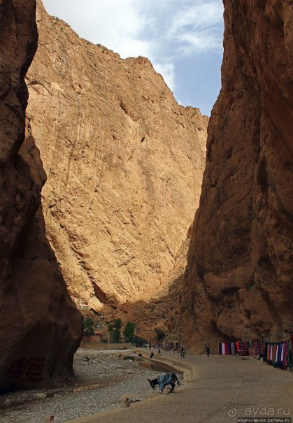 Живописное Марокко. Ущелье Тодра