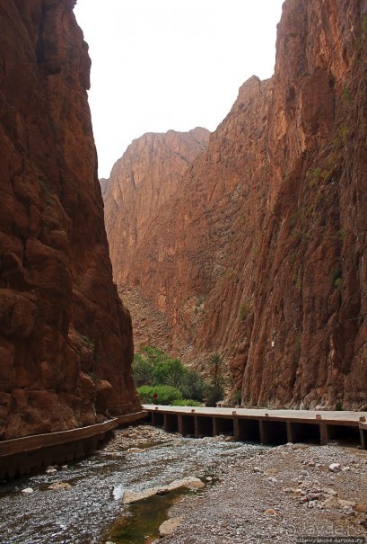 Живописное Марокко. Ущелье Тодра