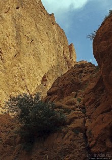 Живописное Марокко. Ущелье Тодра