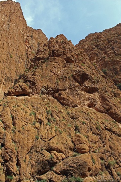 Живописное Марокко. Ущелье Тодра