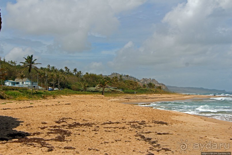 Камень на песке