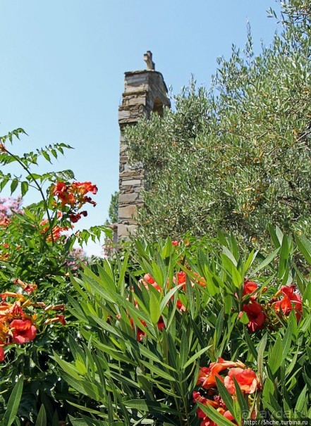 Уютная церквушка в оливковом саду