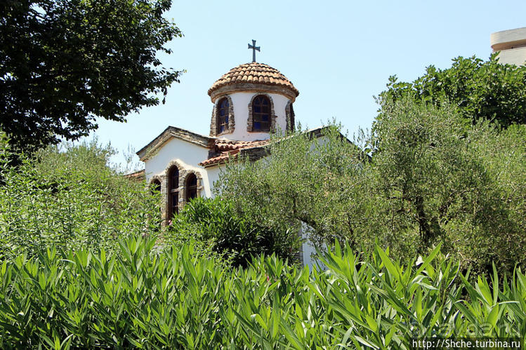 Альбом отзыва "Уютная церквушка в оливковом саду"