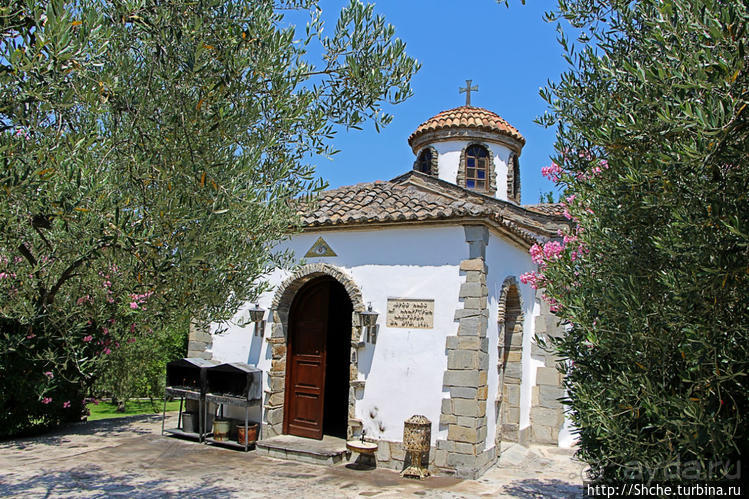 Уютная церквушка в оливковом саду