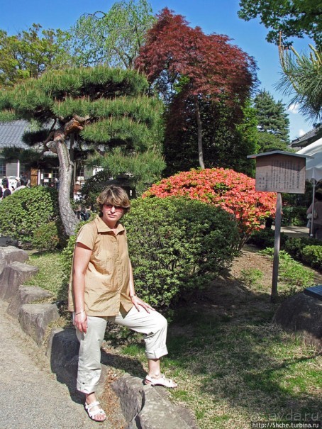 Карасу-дзё, или Замок ворона — средневековый замок Мацумото