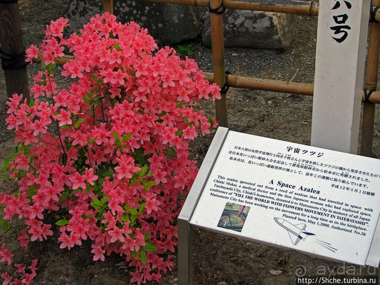 Карасу-дзё, или Замок ворона — средневековый замок Мацумото