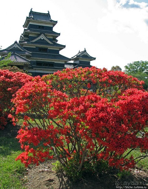 Карасу-дзё, или Замок ворона — средневековый замок Мацумото