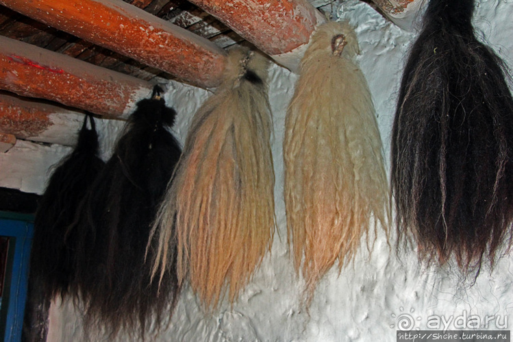 "Шикарный" отель в "крупном" городе Мустанга