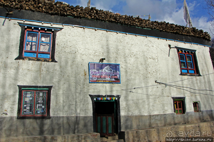 "Шикарный" отель в "крупном" городе Мустанга