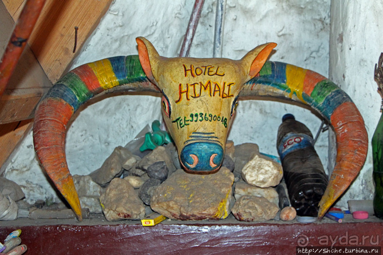 "Шикарный" отель в "крупном" городе Мустанга