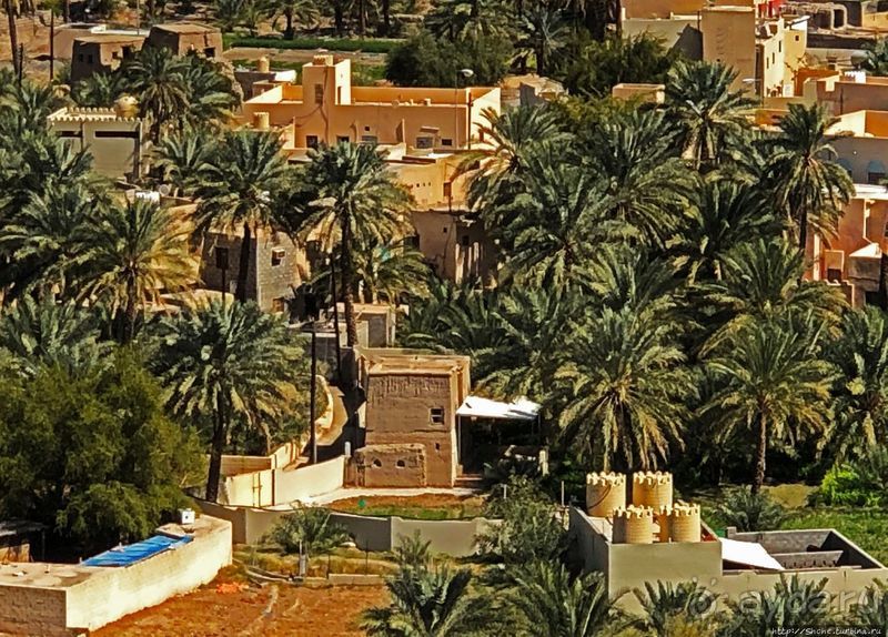 Лучшие виды на древнюю Бахлу и ее ЮНЕСКО-отмеченную крепость