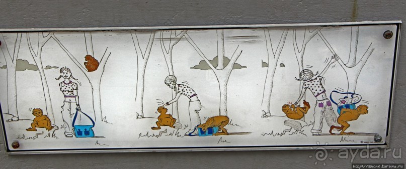 Люблю когда все понятно без слов... Обезьяны в Гибралтаре