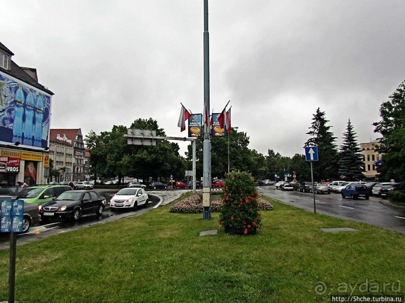 Куда ты, тропинка, меня завела...