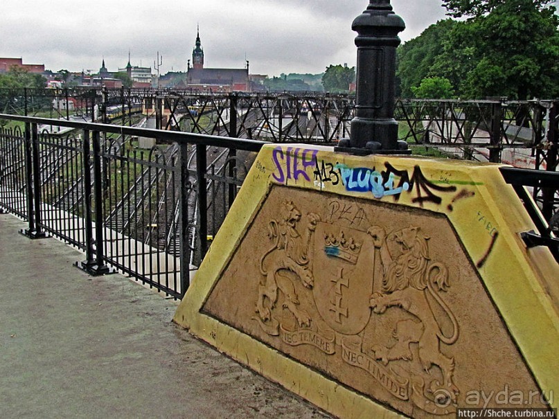 Куда ты, тропинка, меня завела...