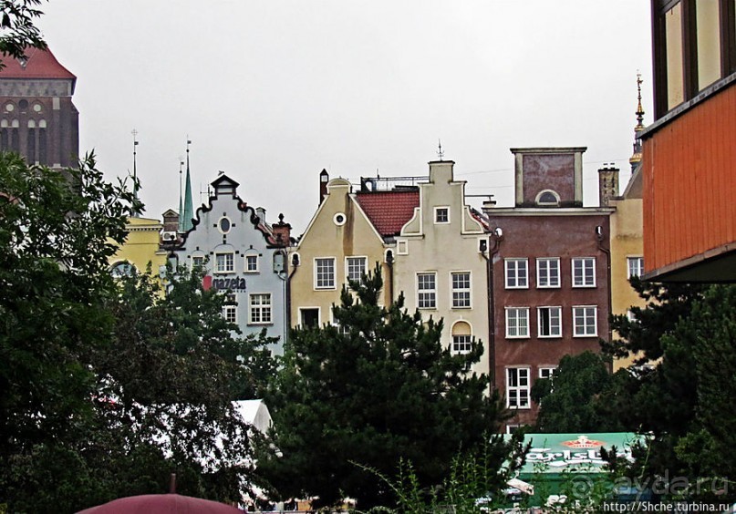 Куда ты, тропинка, меня завела...