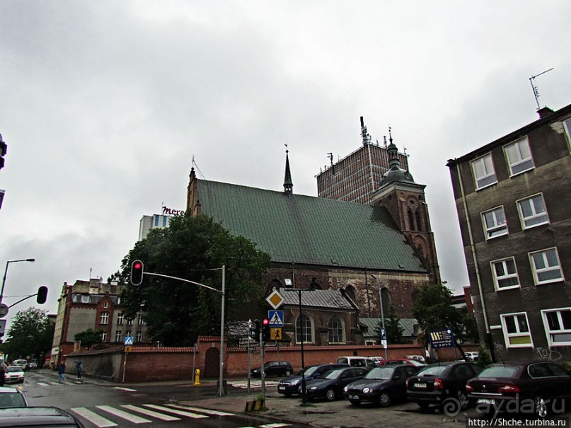 Куда ты, тропинка, меня завела...