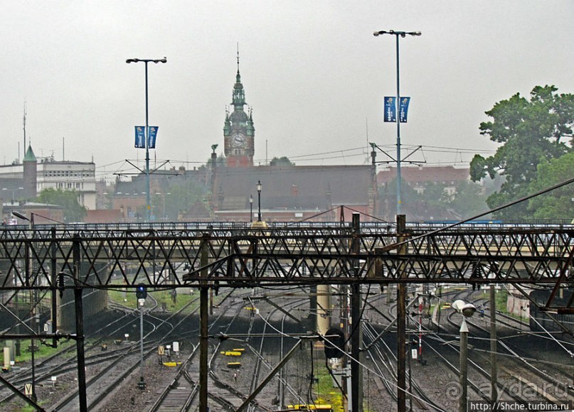 Куда ты, тропинка, меня завела...