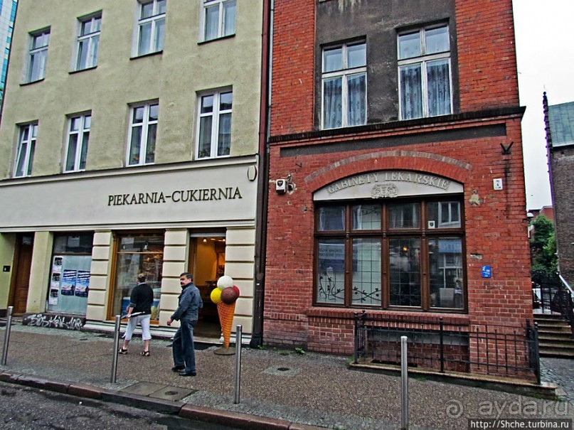 Куда ты, тропинка, меня завела...