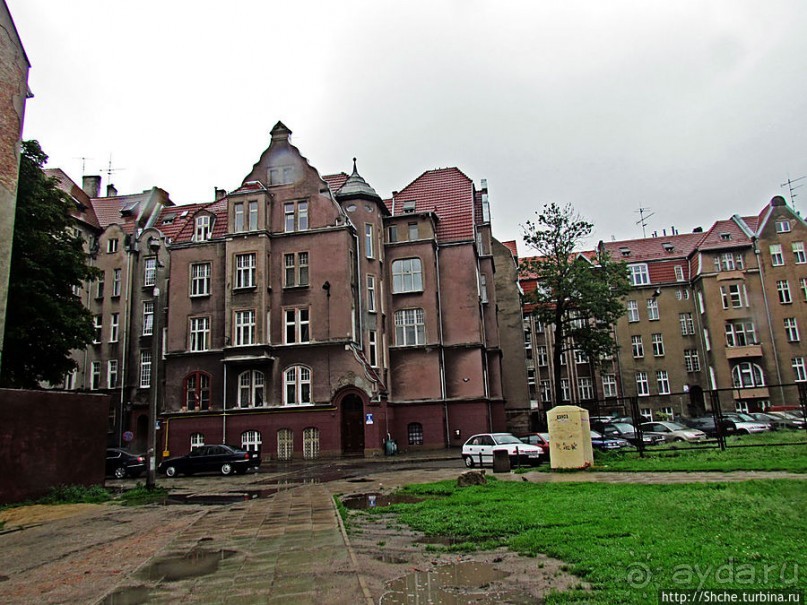 Куда ты, тропинка, меня завела...