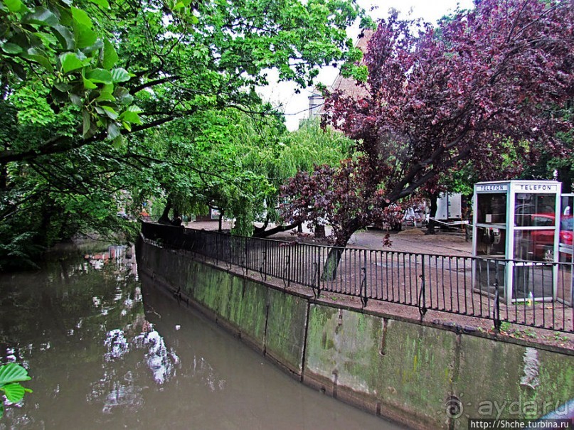 Куда ты, тропинка, меня завела...