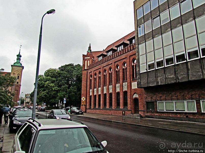 Куда ты, тропинка, меня завела...