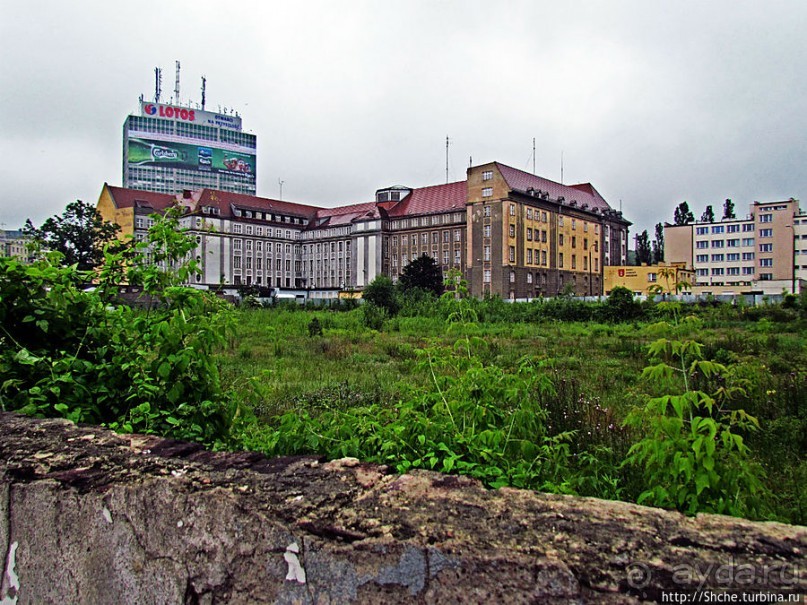 Куда ты, тропинка, меня завела...