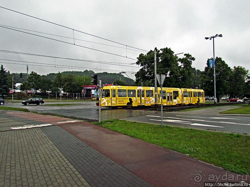 Куда ты, тропинка, меня завела...