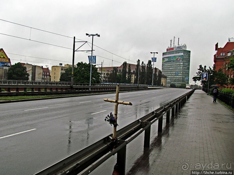 Куда ты, тропинка, меня завела...