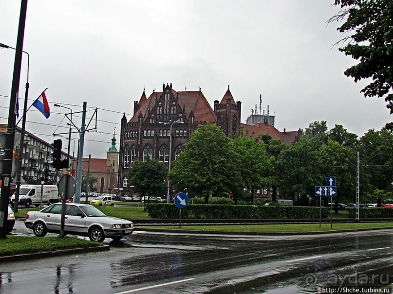 Куда ты, тропинка, меня завела...