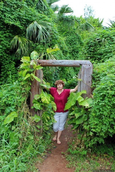 У природы нет плохой погоды (кусочек полудиких Бермуд)